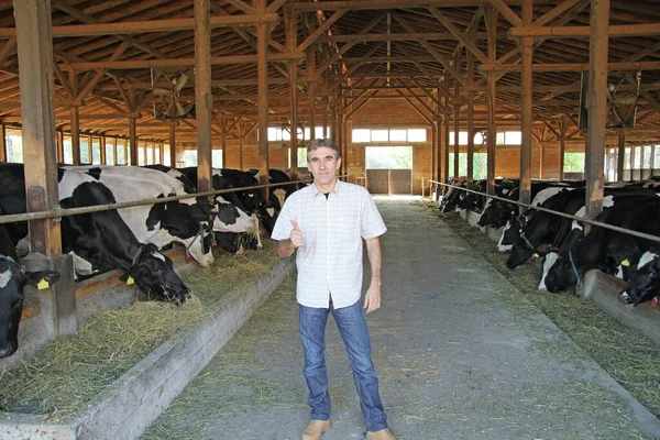 Agricultor Sucesso Trabalha Uma Fazenda Gado Cuida Das Vacas Indústria — Fotografia de Stock