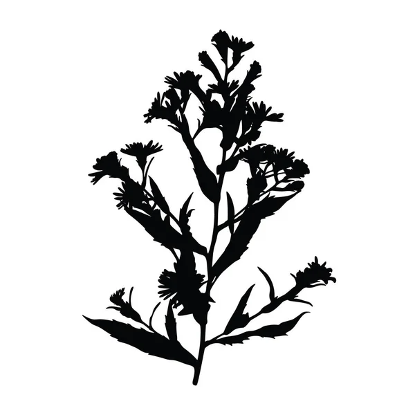 Wild Flower Silhouette Izolovaných Bílém Pozadí Vektorové Ilustrace — Stockový vektor