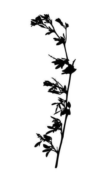 Wild Flower Silhouette Isolated White Background Vector Illustration — Stock Vector