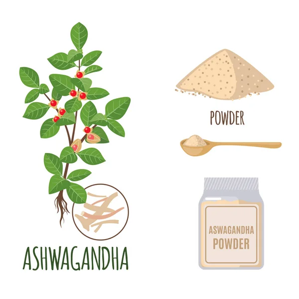 Ashwagandha Set Powder Roots Flat Style Isolated White Background Organic — Stock Vector