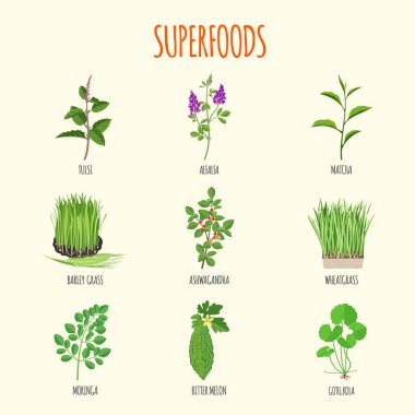 Superfoods düz stil kümesi. Sağlıklı bir yaşam tarzı. Otlar ve meyveler sağlık için. Vektör çizim