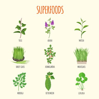Set of superfoods in flat style. Healthy lifestyle. Herbs and fruits for health. Vector illustration clipart