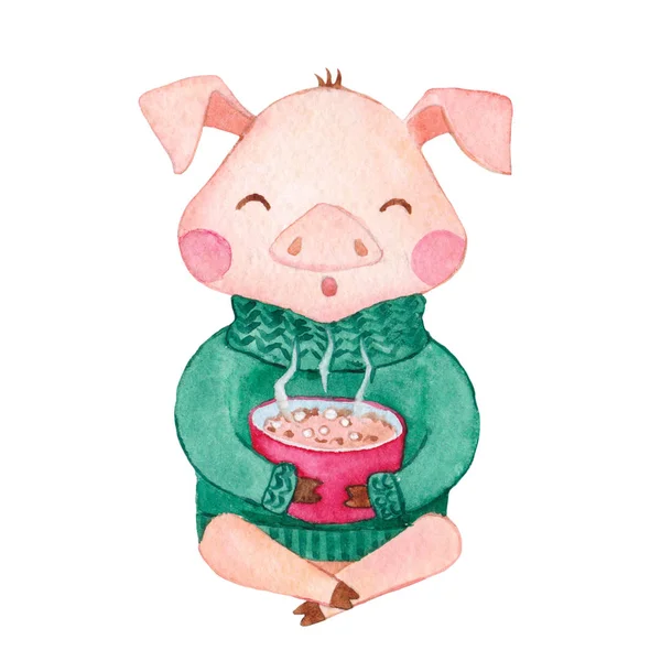 Niedlichen Aquarell Schwein Cartoon Figur Warmen Pullover Mit Heißem Kaffee — Stockfoto