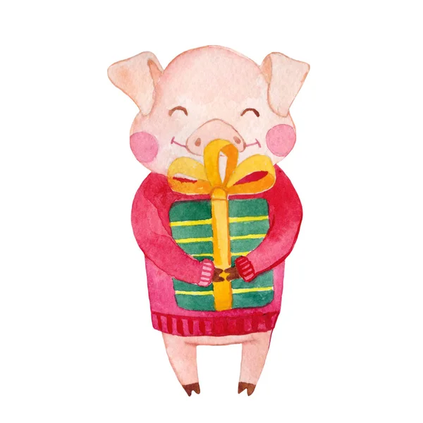 Niedlichen Aquarell Schwein Cartoon Figur Mit Geschenkbox Chinesisches Symbol Des — Stockfoto