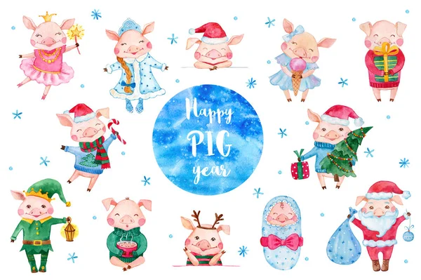 Set Cute Watercolor Pig Cartoon Characters Happy New Year Collection — Stock Photo, Image