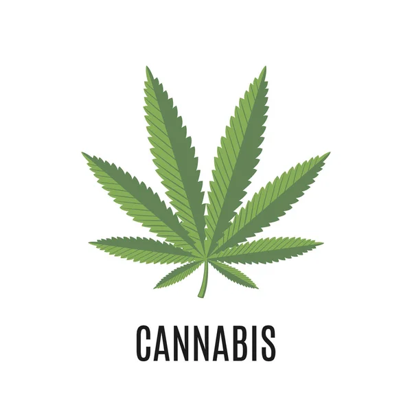 Signo Cannabis Aislado Sobre Fondo Blanco Cura Epilepsia Ilustración Vectorial — Vector de stock