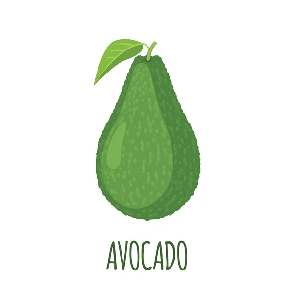 Иконка Авокадо Плоском Стиле Выделена Белом Фоне Органическая Еда Векторная — стоковый вектор