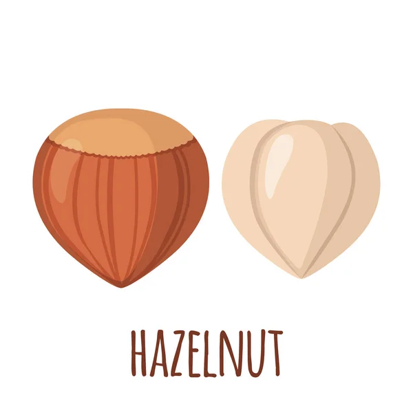 Иконка Hazelnut Плоском Стиле Выделена Белом Фоне Органическая Еда Векторная — стоковый вектор