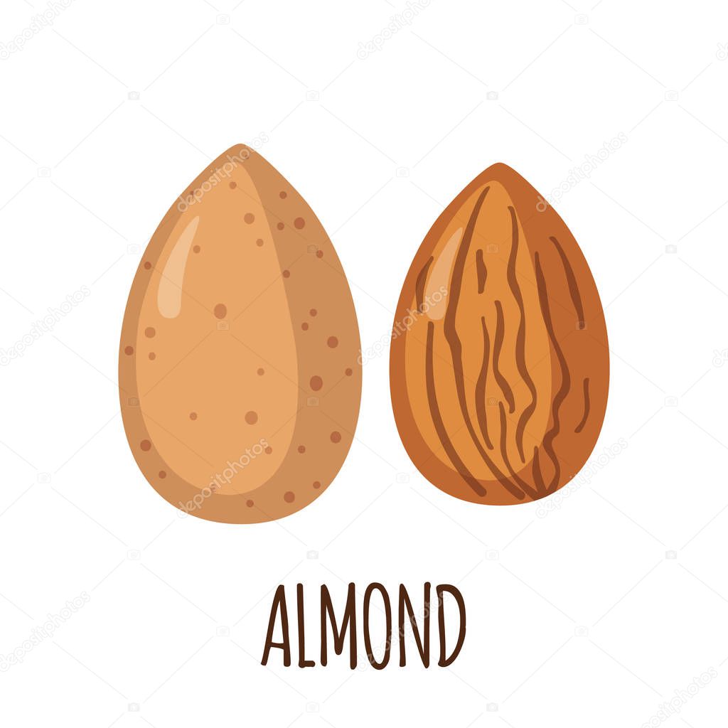 Almond icon in flat style isolated on white background. Organic food. Vector illustration. Ingredient for ketogenic diet.