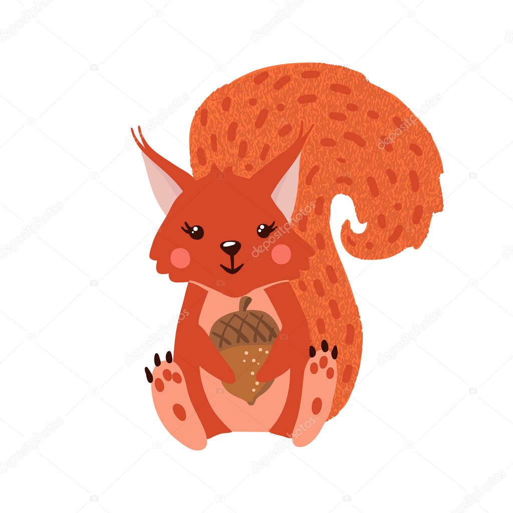 Cute hand drawn squirrel with acorn isolated on white background. Forest animal. Vector illustration.