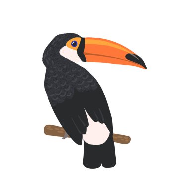 Beyaz arka planda yalıtılmış el çizilmiş Toucan.