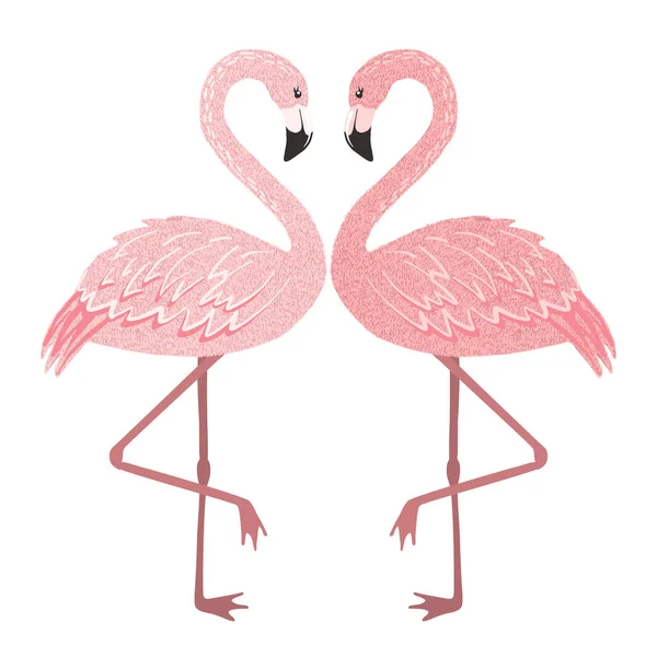 Rosa casal flamingo no amor isolado no branco . — Vetor de Stock