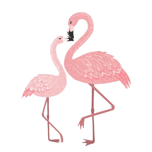 Розовый фламинго мама с ребенком изолированы на белом . — стоковый вектор