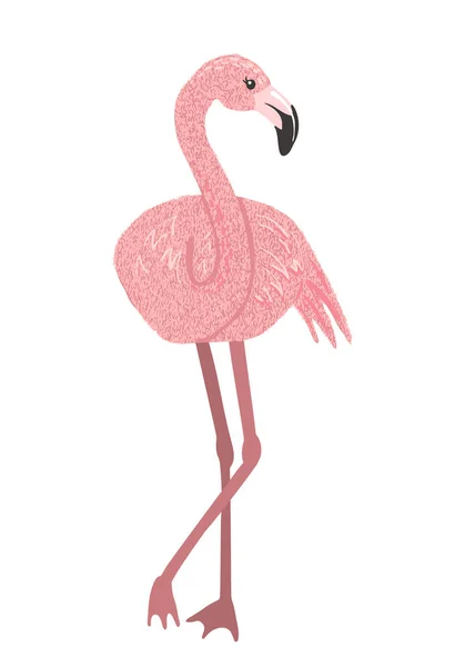 Flamingo rosa bonito isolado no fundo branco. —  Vetores de Stock