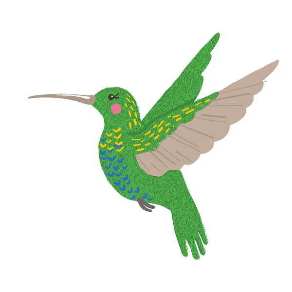 Colibri mignon dessiné à la main isolé sur blanc . — Image vectorielle