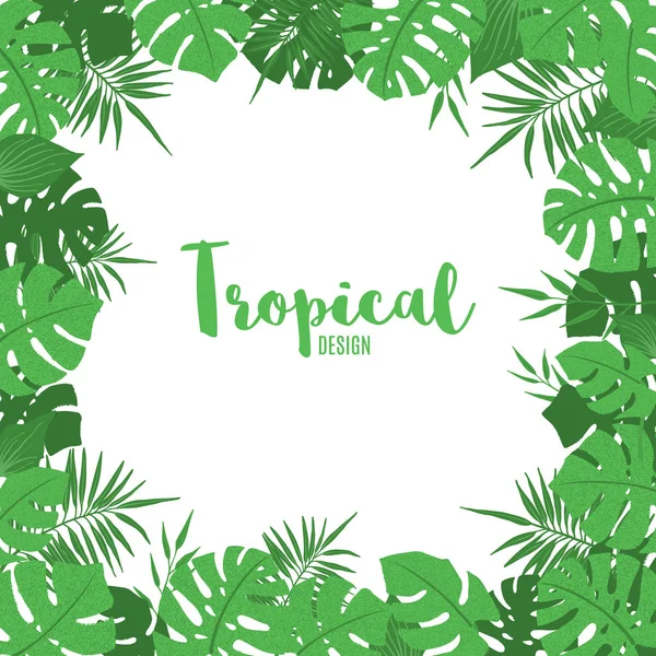 Cadre mignon avec des feuilles exotiques vert tropical . — Image vectorielle