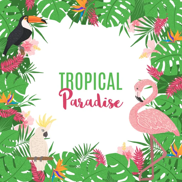 Cadre tropical avec des feuilles et des oiseaux exotiques . — Image vectorielle