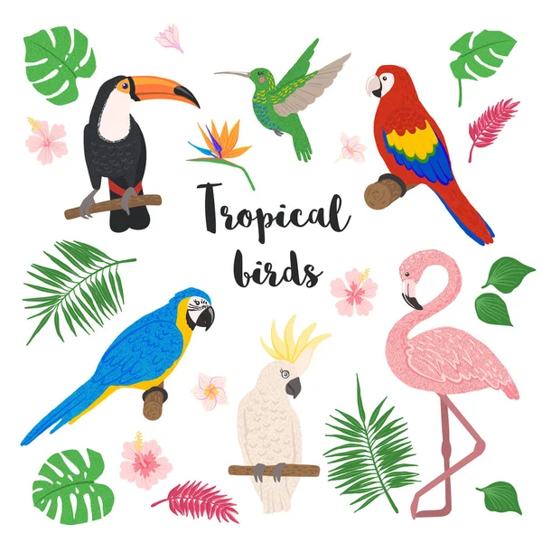 Oiseaux tropicaux mignons avec des éléments floraux . — Image vectorielle