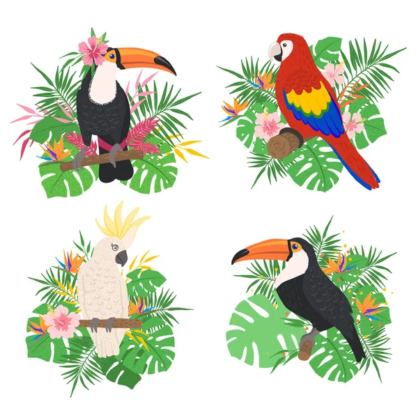Cute tropical birds set with floral elements. — Stock Vector