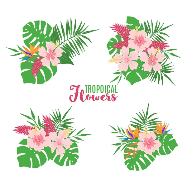 Set of tropical summer bouquets isolated on white. — Stock Vector