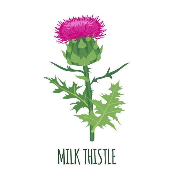 Melk distel pictogram in platte stijl geïsoleerd op wit. — Stockvector