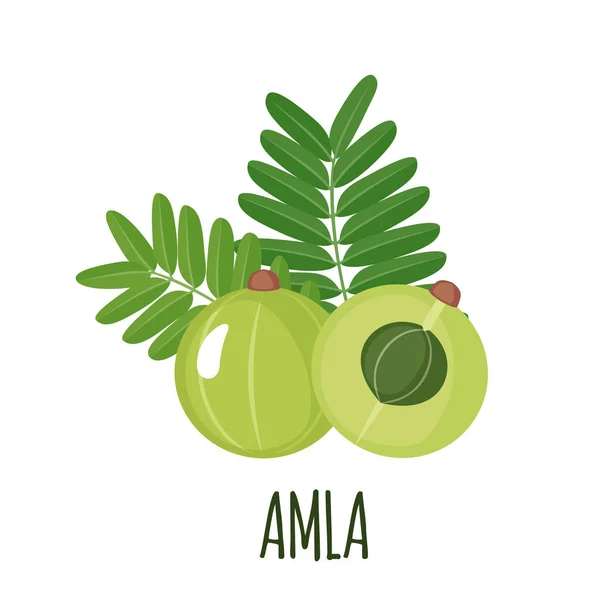 Amla icon in flat style isolated on white. — Stock Vector