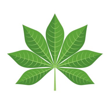 Yeşil Cassava Yaprak Simgesi beyaz arkaplanda izole edilmiş.