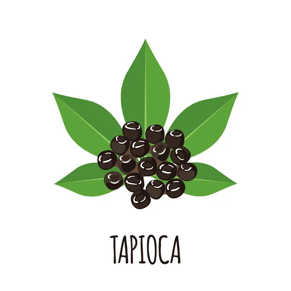 Icono de Tapioca con hoja de mandioca en estilo plano aislado sobre fondo blanco . — Vector de stock