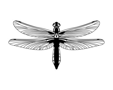 Siyah vektör yusufçuk simgesi beyaz arkaplanda izole edildi,