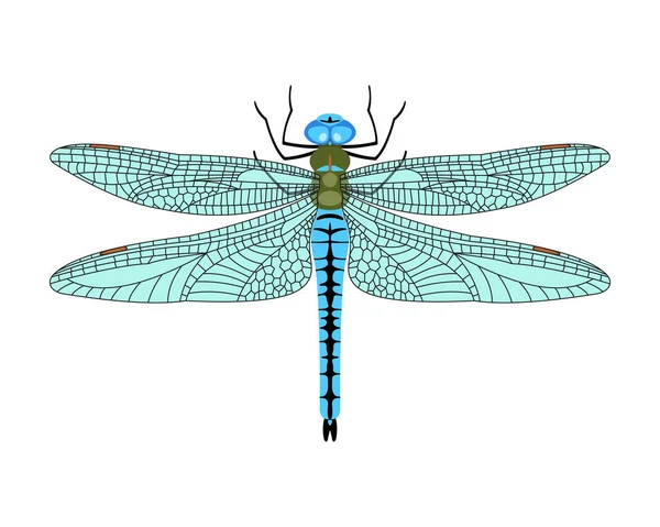 Icona della libellula vettoriale in stile piatto isolata su sfondo bianco . — Vettoriale Stock