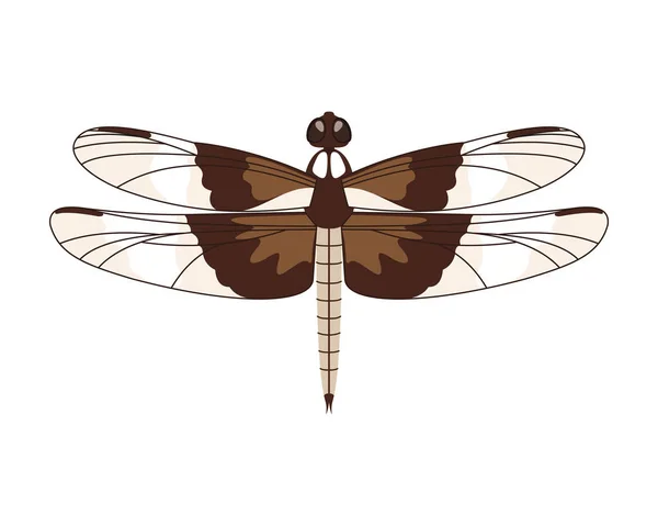 Icono de libélula vectorial en estilo plano aislado sobre fondo blanco . — Vector de stock