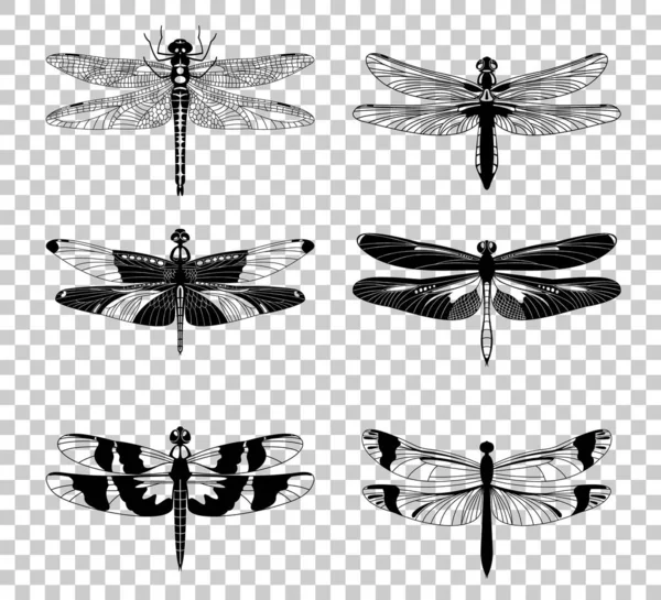 Векторні чорні піктограми Dragonfly встановлені ізольовані на прозорому фоні . — стоковий вектор