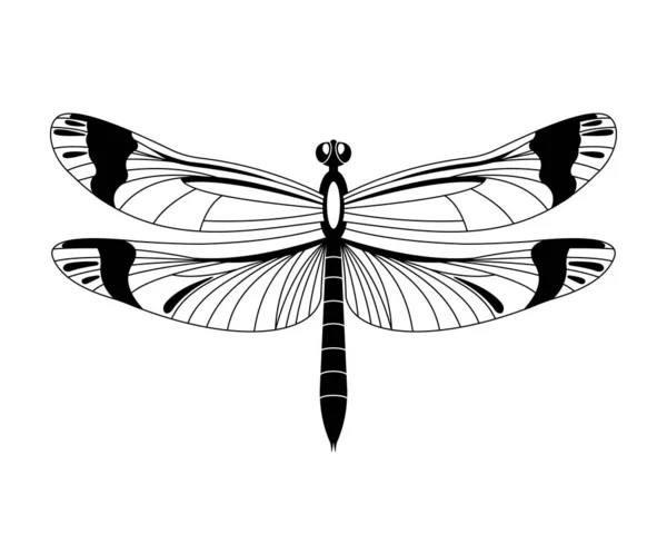 Icono de libélula vector negro aislado sobre fondo blanco , — Archivo Imágenes Vectoriales