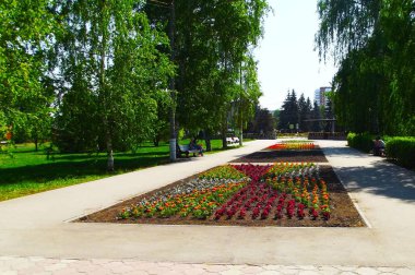 Güneşli bir günde bir pitoresk Park.