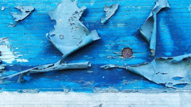 Eski ahşap arka plan mavi boya ile boyanmış.