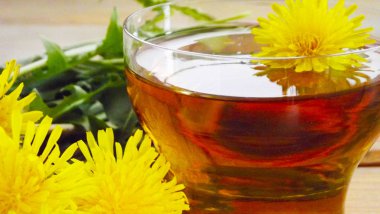 Yararlı Karahindiba çiçeği. Çay yapmak.