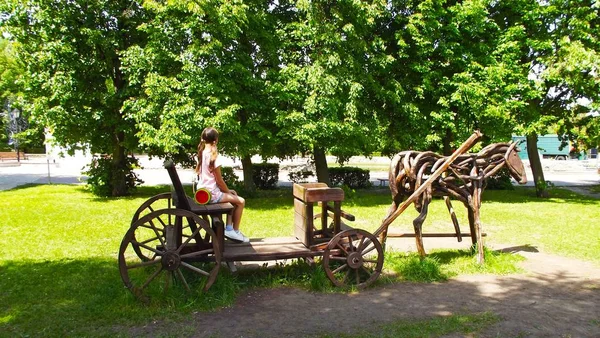 Descanse Parque Diversões Cavalo Carrinho Madeira — Fotografia de Stock