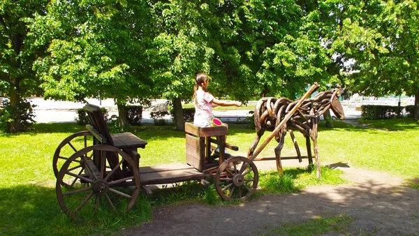 Descanse Parque Diversões Cavalo Carrinho Madeira — Fotografia de Stock