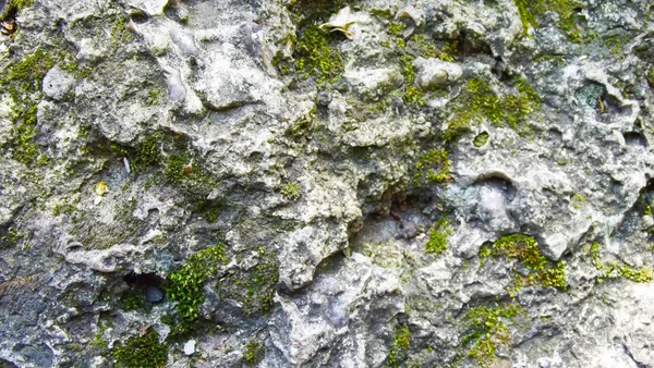 Schöner Natursteinhintergrund Ein Abstraktes Muster — Stockfoto