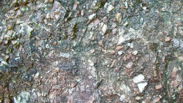 Schöner Natursteinhintergrund Ein Abstraktes Muster — Stockfoto