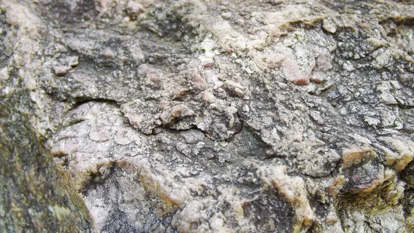 Vacker Naturlig Sten Bakgrund Ett Abstrakt Mönster — Stockfoto