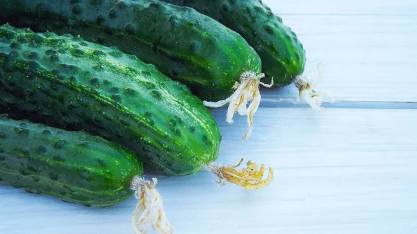 Fresh Cucumbers Garden Wooden Background — Stock Photo, Image