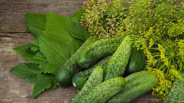 We preserve cucumbers with dill.Preparations for the winter.