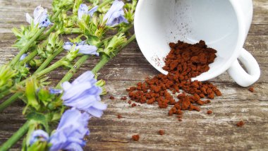 Kara hindiba ve hindiba çiçek ahşap arka plan üzerinde.