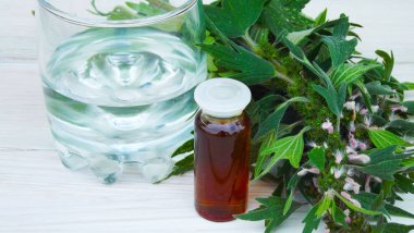 Tıbbi Leonurus.Sedative.Grass ve tentür ahşap arka plan üzerinde.