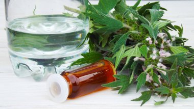 Tıbbi Leonurus.Sedative.Grass ve tentür ahşap arka plan üzerinde.