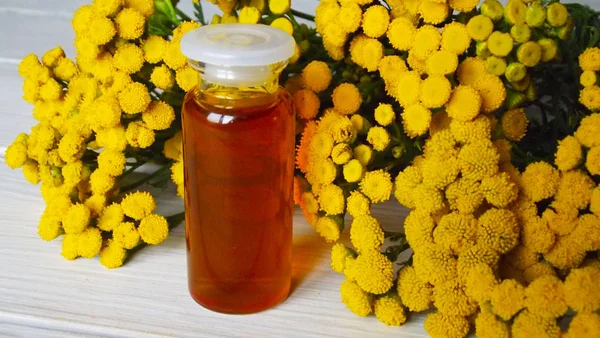 Tansy Pharmacy Planta Medicinal Tintura — Foto de Stock