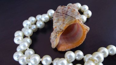 Güzel inci boncuk ve siyah arka plan üzerine kabukları.