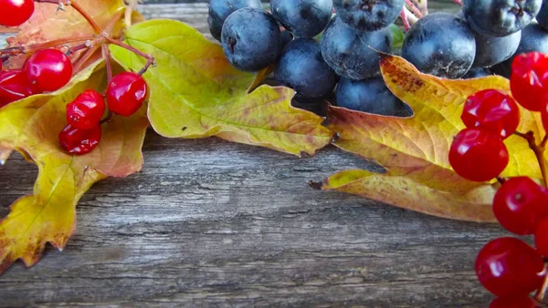 Frische Schwarze Preiselbeere Und Rotes Viburnum Mit Blättern Auf Holzgrund — Stockfoto