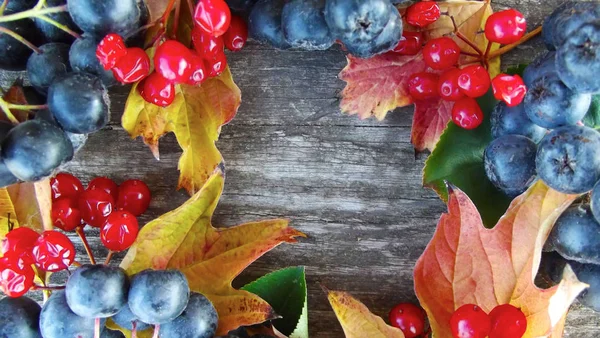 Frische Schwarze Preiselbeere Und Rotes Viburnum Mit Blättern Auf Holzgrund — Stockfoto